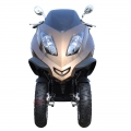 Trike Motorcycle 300cc Gas Scooter 