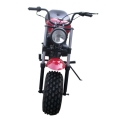 Mini Bike 196CC 4-stroke Motorcycle 