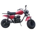 Mini Bike 196CC 4-stroke Motorcycle 