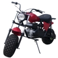 Mini Bike 196CC 4-stroke Motorcycle 